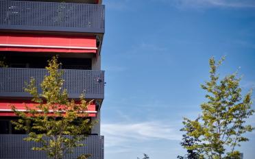 Wohnung 3.5 Zimmer - image - 8