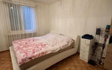 Wohnung 3.5 Zimmer - image - 2