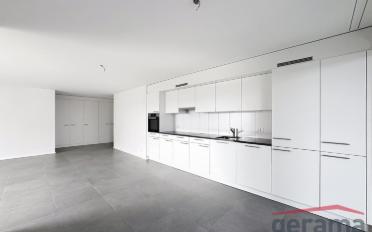 Appartement 2.5 pièces - image - 2