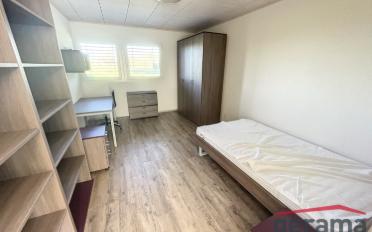 Wohnung ein Zimmer - image - 1