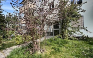 Wohnung 4.5 Zimmer - image - 2