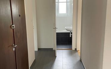 Wohnung 4 Zimmer - image - 4