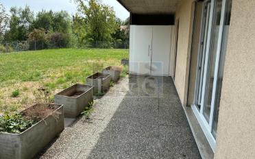 Wohnung 2.5 Zimmer - image - 1