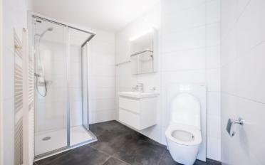 Wohnung 2.5 Zimmer - image - 1