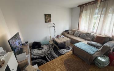 Wohnung 2.5 Zimmer - image - 2