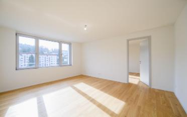 Apartment 2.5 rooms - image - 5