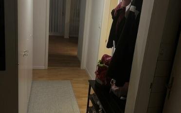 Apartment 3.5 rooms - image - 2