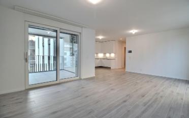 Wohnung 2.5 Zimmer - image - 5