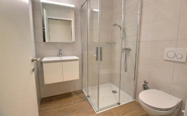 Appartement 5.5 pièces - image - 3
