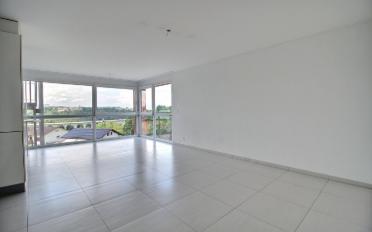 Wohnung 3.5 Zimmer - image - 1