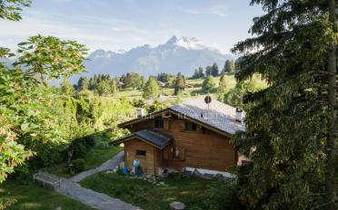 Chalet 6.5 pièces - image - 1