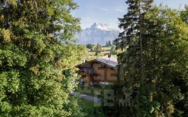 Chalet 6.5 pièces - image - 8