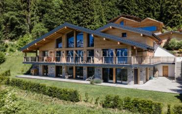 Chalet 9.5 pièces - image - 1