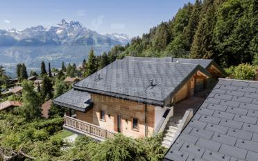 Chalet 9.5 pièces - image - 2