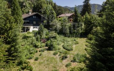 Chalet 7 Zimmer - image - 1