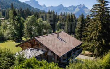 Chalet 5 Zimmer - image - 1