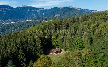 Chalet 4.5 Zimmer - image - 4