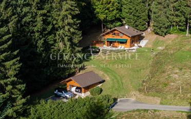 Chalet 4.5 Zimmer - image - 1