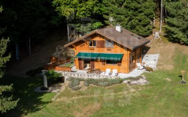 Chalet 4.5 Zimmer - image - 2