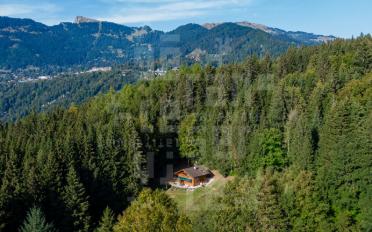 Chalet 4.5 Zimmer - image - 4