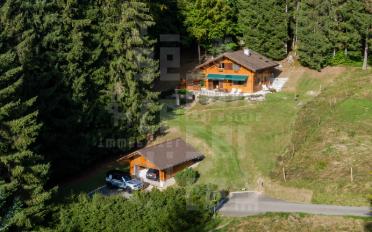 Chalet 4.5 Zimmer - image - 1