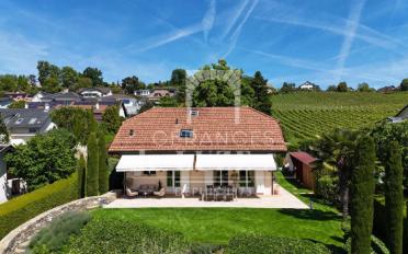 Single house 6 rooms - image - 11