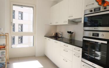 Wohnung 3.5 Zimmer - image - 1