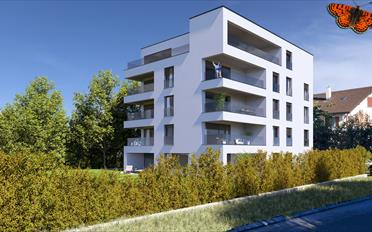 Apartment 4.5 rooms - image - 7