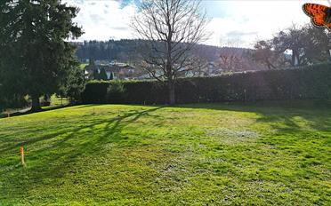 Villa 4.5 Zimmer - image - 6