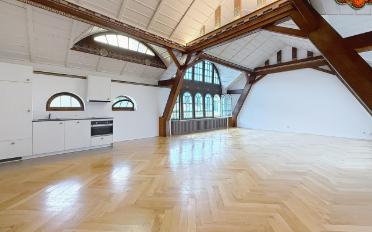 Loft 1 pièce - image - 2