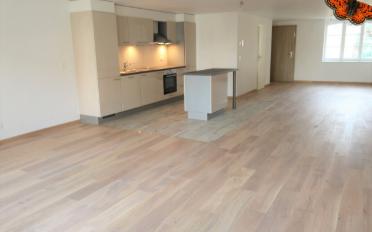 Loft 1 room - image - 2