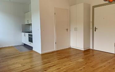 Apartment 1 room - image - 3