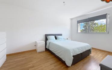 Wohnung 3.5 Zimmer - image - 5