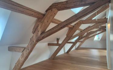 Loft 1 pièce - image - 4
