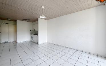 Wohnung 1.5 Zimmer - image - 4