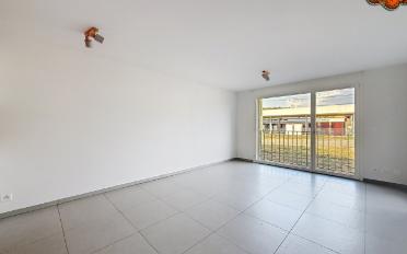 Wohnung 2.5 Zimmer - image - 2