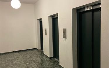 Wohnung 2 Zimmer - image - 7