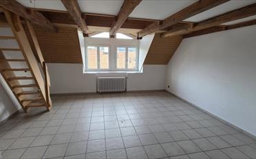 Appartement 4.5 pièces - image - 9