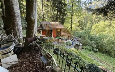 Einfamilienhaus - image - 4