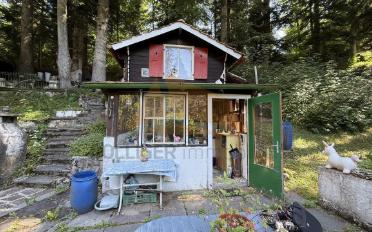 Einfamilienhaus - image - 1