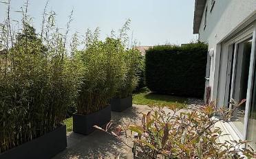 Terrace flat 2 rooms - image - 1