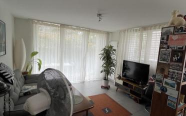 Wohnung 2 Zimmer - image - 5