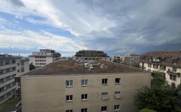 Wohnung 2 Zimmer - image - 8