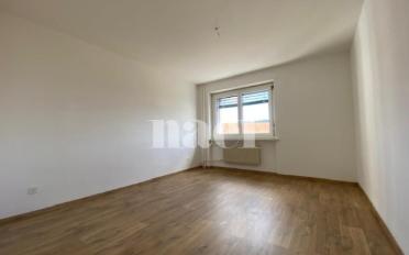 Wohnung 2 Zimmer - image - 2