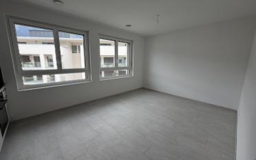 Apartment 1 room - image - 4
