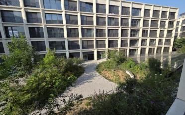 Apartment 2.5 rooms - image - 8