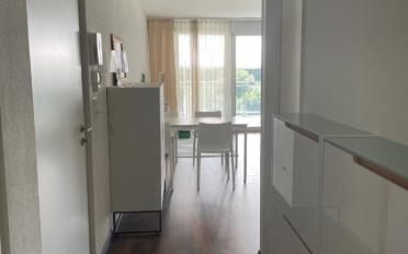 Appartement 3.5 pièces - image - 6
