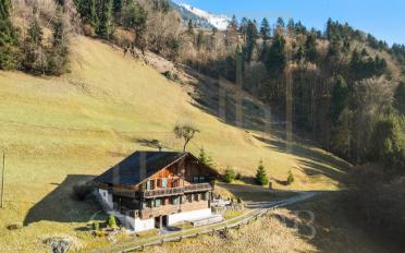 Chalet 7 rooms - image - 2