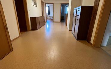 Shop 7.5 rooms - image - 4