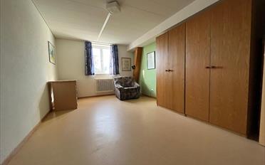 Shop 7.5 rooms - image - 7